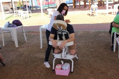 IMG_7179