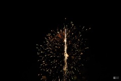 IMG_3524