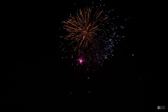IMG_3551