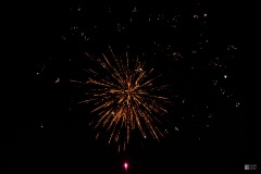 IMG_3560