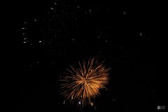 IMG_3568