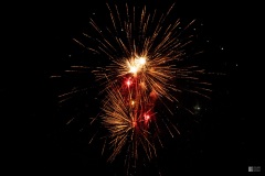 IMG_3580